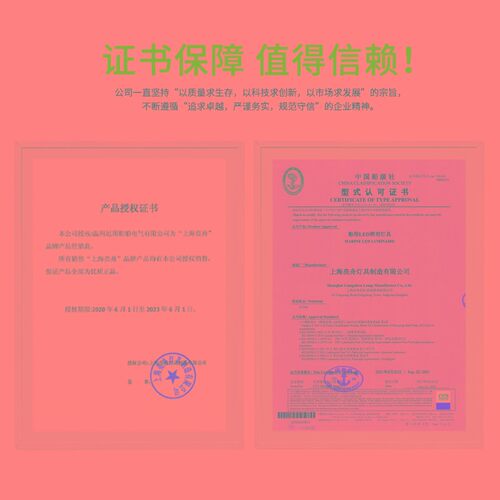 亮舟CCS船用LED灯管式JCY双管应急荧光舱顶灯ZYC/LZYC22-2/2E/2EF