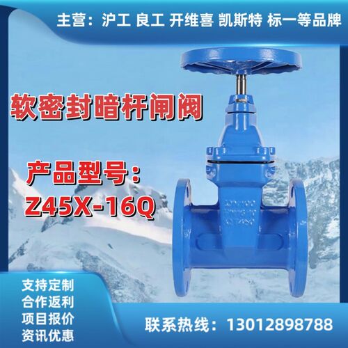 上海良工软密封暗杆法兰闸阀Z45X-16Q阀门