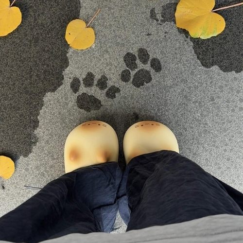 猫咪棉拖鞋女款冬天软底毛绒防滑防水室内家居可爱保暖鞋2025新款