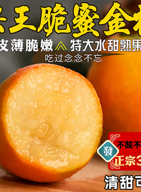 融融安脆蜜金桔第三代脆蜜金柑单独包装包邮应季新鲜水果纯甜无籽