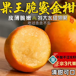 融融安脆蜜金桔第三代脆蜜金柑单独包装包邮应季新鲜水果纯甜无籽
