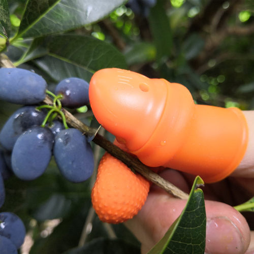 摘花椒神器割菜专用拇指刀摘菜神器摘豆角神器摘果神器摘辣椒神器