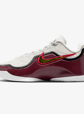 NIKE耐克男鞋LEBRON XXIII运动训练篮球鞋IB9563-100