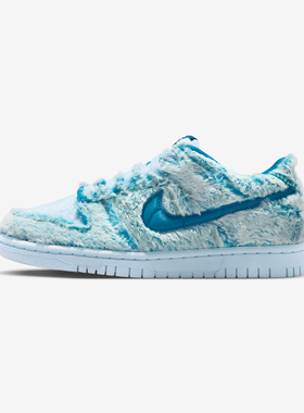 Nike耐克大童鞋NIKE DUNK LOW BG运动休闲鞋IM7171-301