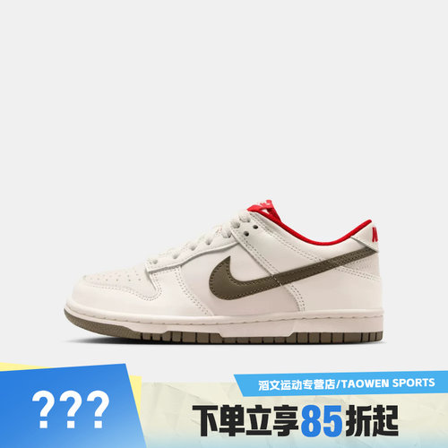 NIKE耐克大童NIKE DUNK LOW (GS)运动休闲鞋IQ9793-020