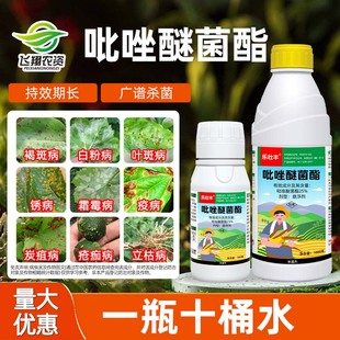 25%吡唑醚菌酯香蕉叶斑病黄瓜白粉病小麦赤霉锈病褐斑病杀菌剂