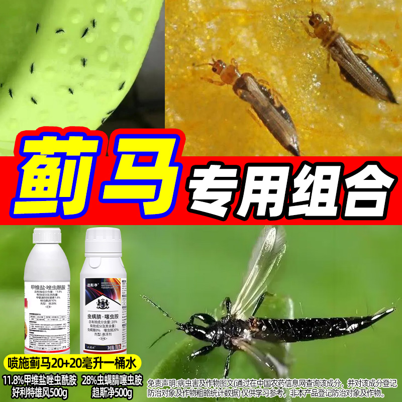 蓟马专用药蔬菜特杀组合杀虫剂
