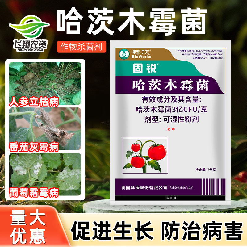立枯病哈茨木霉菌拜沃杀菌剂