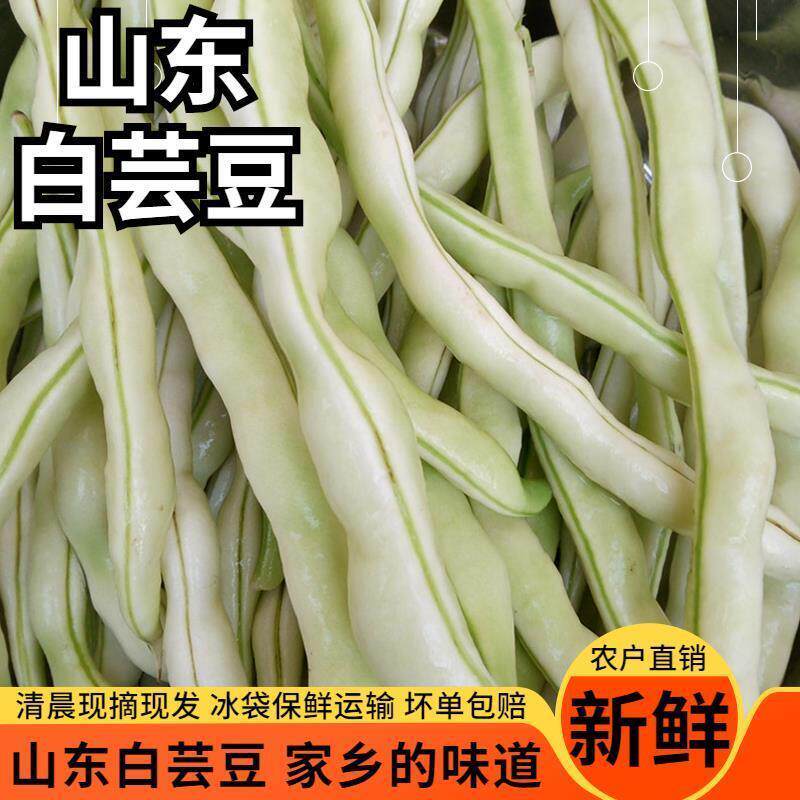 净重山东芸豆新鲜豆角蔬菜四季豆白不老豆角老来少白云豆米豆五斤