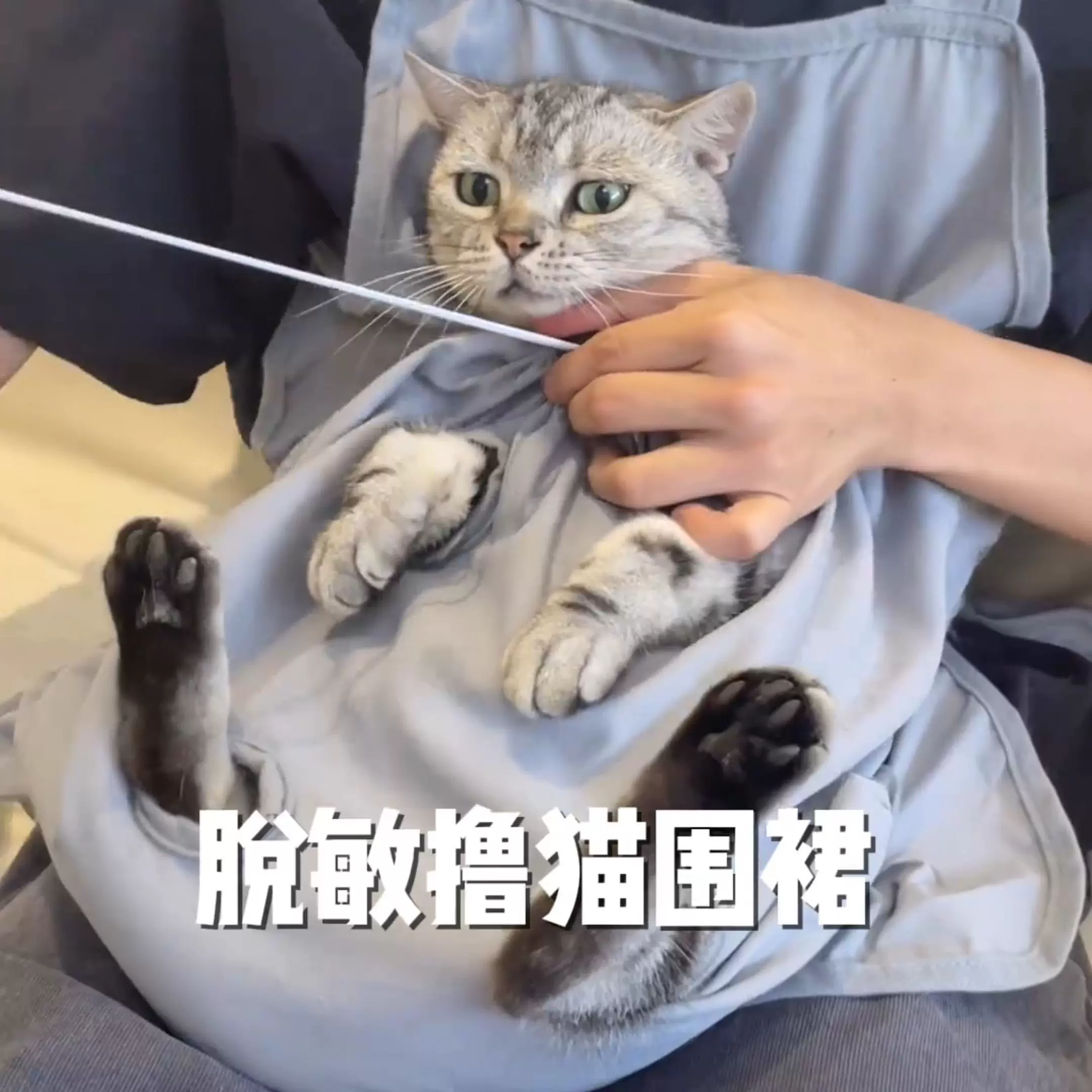 撸猫围裙衣服抱猫服猫咪围兜防毛