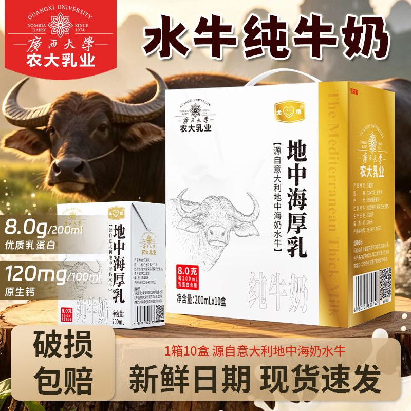 广西农大乳业4.0蛋白水牛纯牛奶