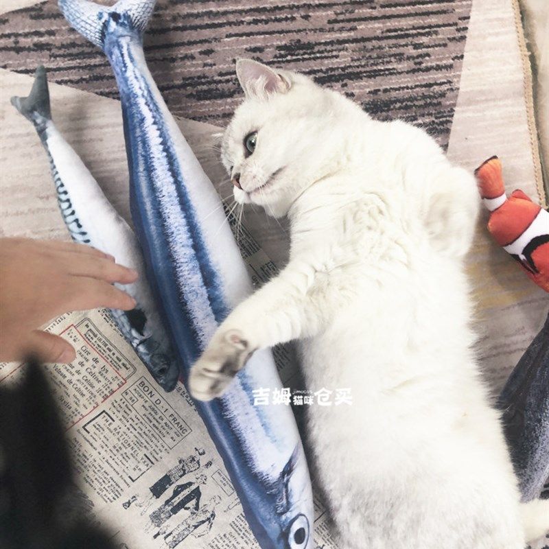 猫薄荷鱼玩具抱枕摇摆电动猫玩具逗猫棒