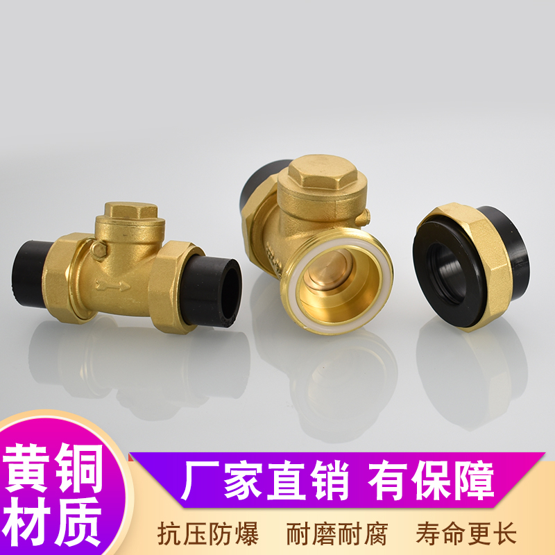双头活接热熔PE20 25 32 40 50 63单向卧式止回阀自来水管单向阀
