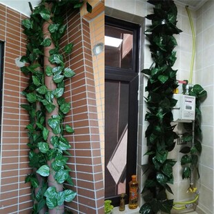 下水管子遮挡罩空调线管道装饰创意美化落水消防排水管绿树叶藤条