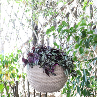 仿藤编吊盆懒人自吸水加厚塑料花盆悬挂式 创意绿萝矮牵牛吊兰盆