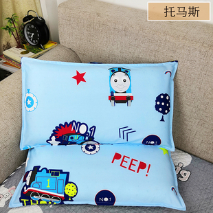 一对装加厚全棉单人纯棉48x74cm40x60枕套30儿童50枕头套双人加大