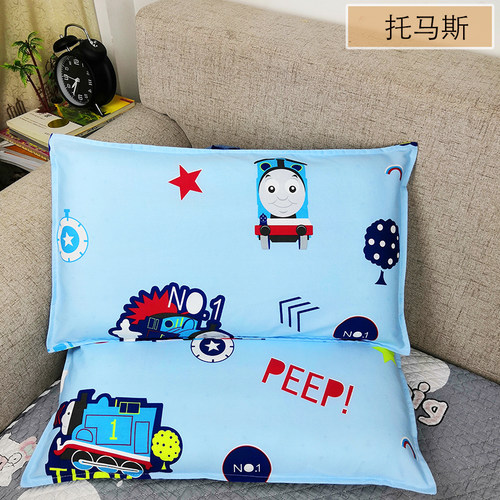 一对装加厚全棉单人纯棉48x74cm40x60枕套30儿童50枕头套双人加大