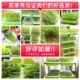 豆芽发芽盆芽苗菜育苗托盘无土栽培水培蔬菜设备豌豆种植芽菜豆苗