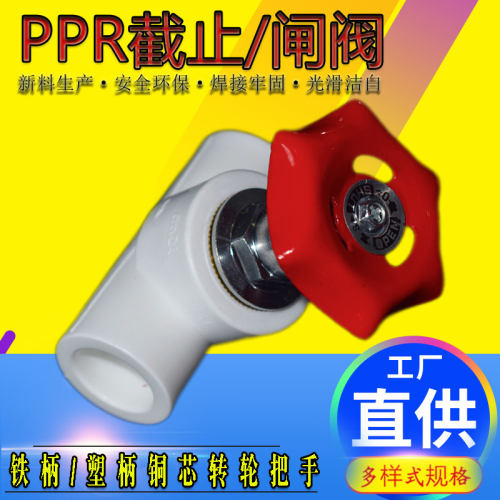 PPR截止阀1寸32热熔水暖管材4分20闸阀6分25上水开关螺旋升降阀芯
