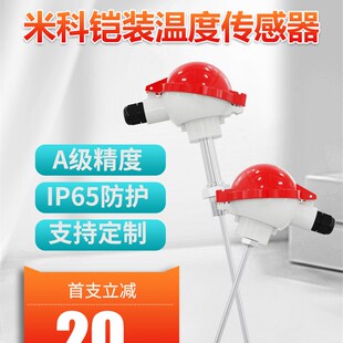 WRN 230铠装 热电偶K型WZP铂热电阻Pt100输出4 20mA温度传感器 130