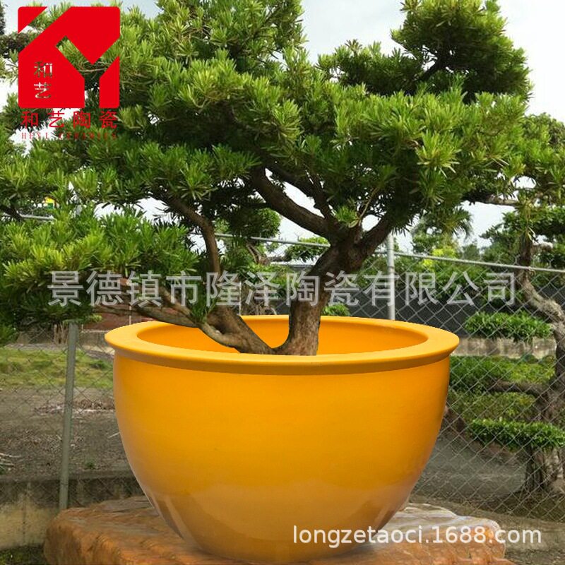 特大庭院陶瓷大缸黄色陶瓷花盆室外风景缸铁树植物盆罗汉松睡莲缸
