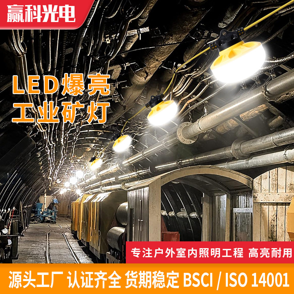 LED工矿灯室外灯罩大串灯