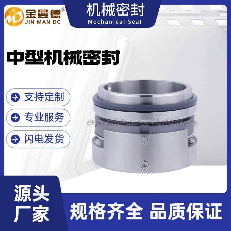 滨特尔水泵用125-100-315DS轴封