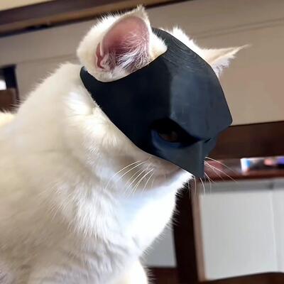 【 猫咪蝙蝠侠安全帽面具】小猫配饰宠物搞怪帅气装饰半脸cos道具