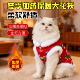 新年唐装 猫咪加绒保暖东北大花袄中国风小型犬宠物服装 冬季 新款