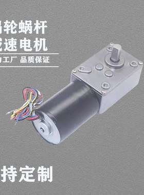 5840Z-545涡轮蜗杆直流减速电机12V/24V调速自锁齿轮大扭矩马达