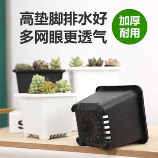 黑色多肉花盆景天小方盆单头加厚大白方多肉盆方形花四方塑料花盆