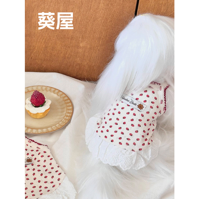 狗狗的夏天，软糯舒适的小裙子~