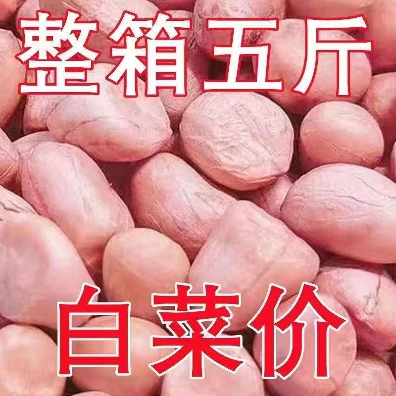 【疯抢5斤】现剥新货特价无壳花生米粉皮大白沙花生米批发价