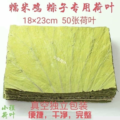 糯米鸡粽子专用荷叶18*23cm50张干荷叶微山湖天然新鲜方形荷叶片
