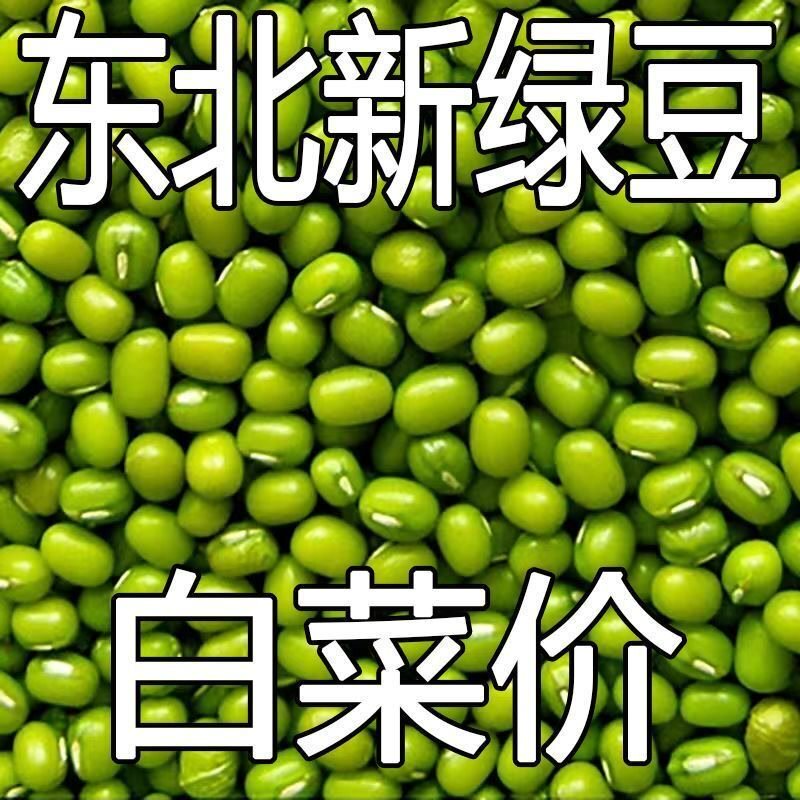 【特价中】正宗农家自产绿豆5斤东北毛绿豆特级便宜发豆芽250g