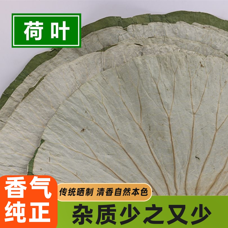 微山湖干荷叶生态原叶精心烘制泡发鲜香整张荷叶鸡荷叶茶新鲜大张