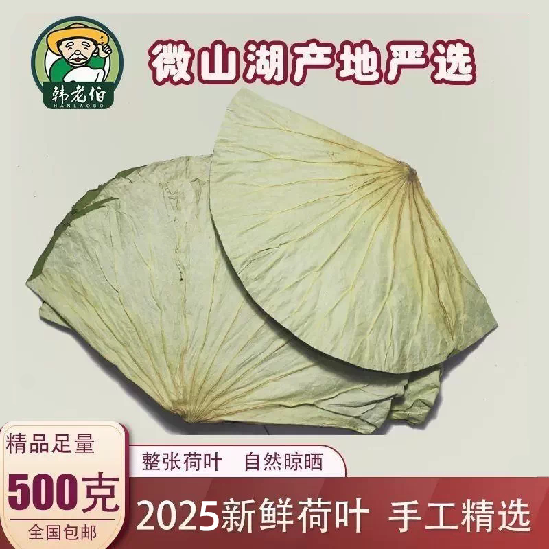微山湖干荷叶整张荷叶鸡糯米鸡荷叶茶2025新鲜大张莲藕叶500克图片