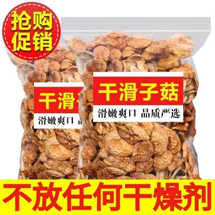 【不含干燥剂】滑子菇干货小黄蘑滑子蘑菇散装净重香菇干货批发