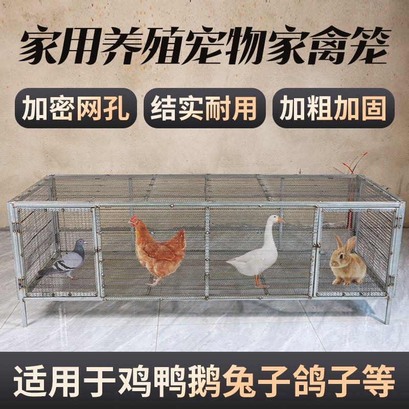 鸡笼子家用室外大号防黄鼠狼专用鸡笼铁丝网养殖鸭鹅兔鸽子鹌鹑笼