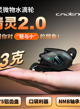 凯登司精灵水滴轮2代微物超小迷你便携小饵双线杯鱼线轮马口鳜鱼