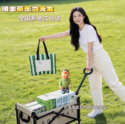 新品东方树叶限定周边积木露营车多功能箱包公司团建高端送礼