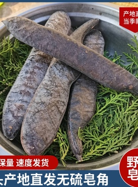 新货大皂角整长皂角皂荚碎块段天然中药材外用洗发皂角粉免煮