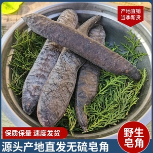 新货大皂角整长皂角皂荚碎块段天然中药材外用洗发皂角粉免煮