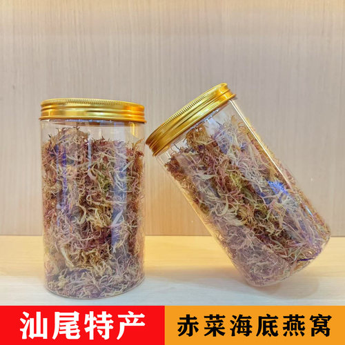 正宗南澳野生赤菜海底燕窝