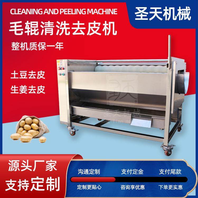 毛辊清洗去皮机商用土豆生姜萝卜清洗脱皮机多功能毛刷机厂家
