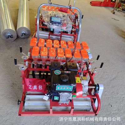 农用手推式播种机汽油款多行药材专用播种施肥一体机