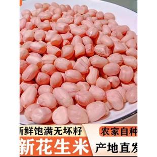 2023年新鲜花生米新货大颗粒白沙农家生花生米商用去散装壳花生仁