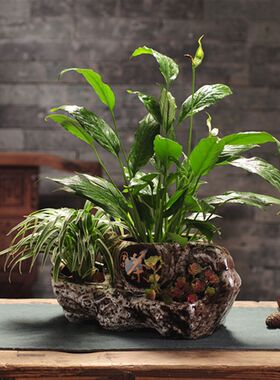 三孔小号特色茶壶形状陶瓷花盆 中国风I 家庭园艺桌面花盆无托盘