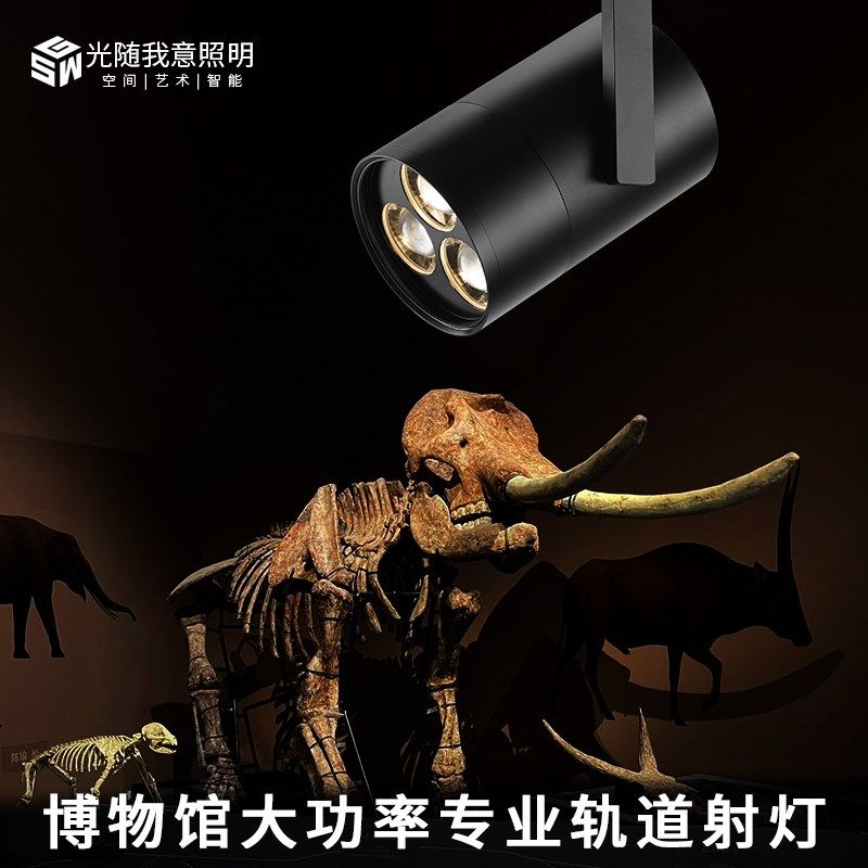 LED宴会大厅博物馆高空车展厅舞台会照明大功率商用轨道聚光射灯,家装灯饰光源,轨道灯,淘宝优惠券,粉丝福利购,淘宝优惠卷