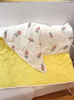 儿童幼儿园夏凉被110140单人110130小尺寸100x140夏季可水洗